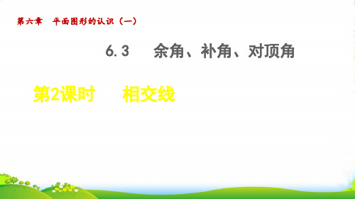 七年级数学上第6章平面图形的认识6.3余角补角对顶角2相交线授课课苏科