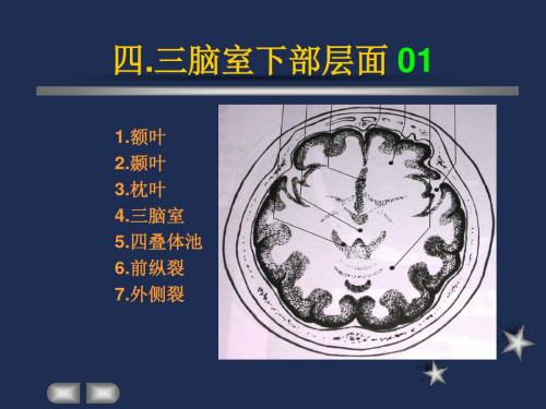 小儿头颅CT图谱3