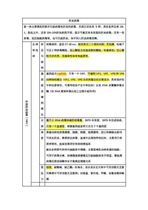 医学微生物学-肝炎病毒