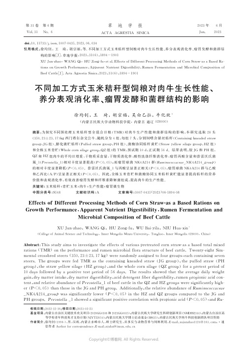 不同加工方式玉米秸秆型饲粮对肉牛生长性能、养分表观消化率、瘤胃发酵和菌群结构的影响