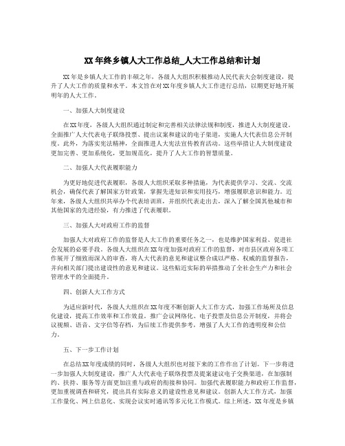 XX年终乡镇人大工作总结_人大工作总结和计划