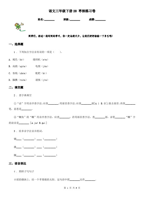 语文三年级下册28 枣核练习卷