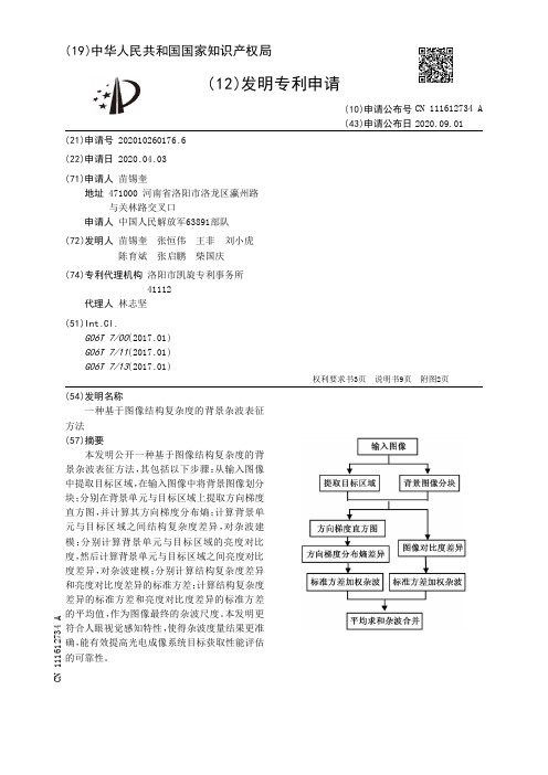 一种基于图像结构复杂度的背景杂波表征方法[发明专利]