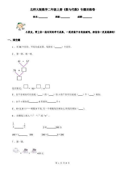 北师大版 数学二年级上册《数与代数》专题训练卷