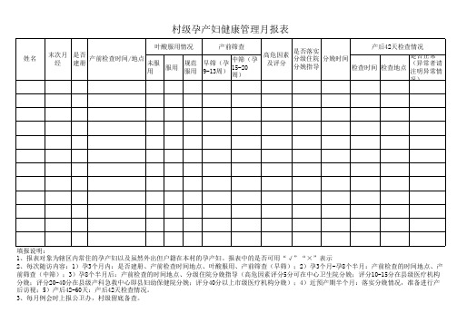 村级孕产妇健康管理月报表