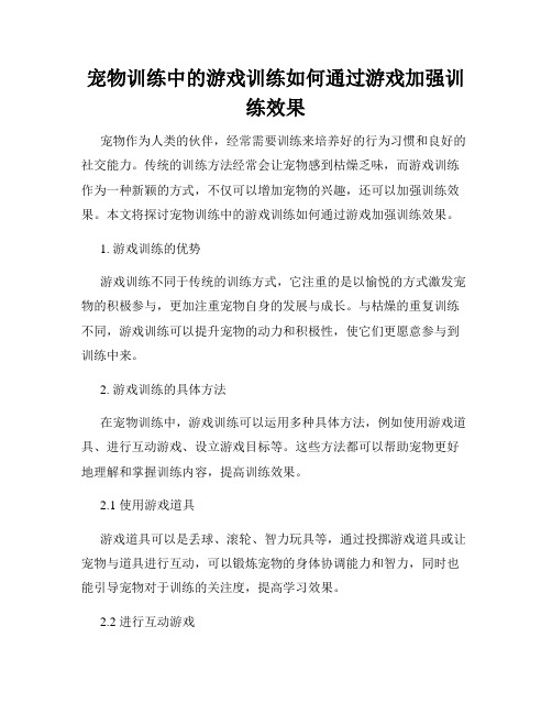 宠物训练中的游戏训练如何通过游戏加强训练效果