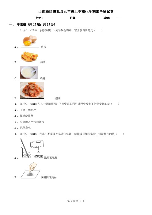 山南地区洛扎县九年级上学期化学期末考试试卷