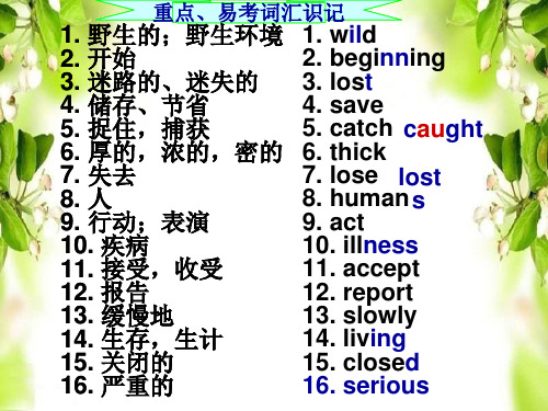 牛津译林版8A Unit5 Wild animals 复习课件