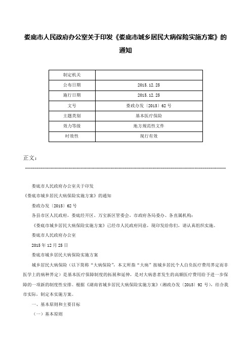 娄底市人民政府办公室关于印发《娄底市城乡居民大病保险实施方案》的通知-娄政办发〔2015〕62号