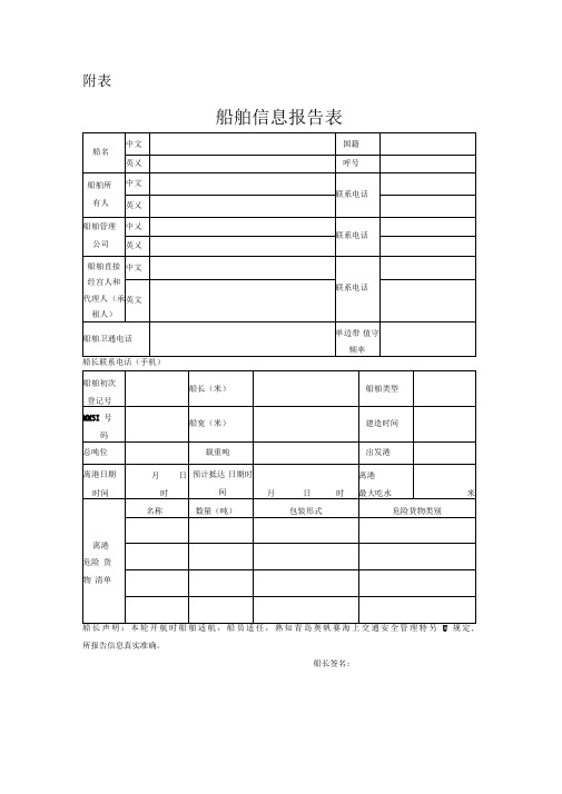 船舶信息报告表