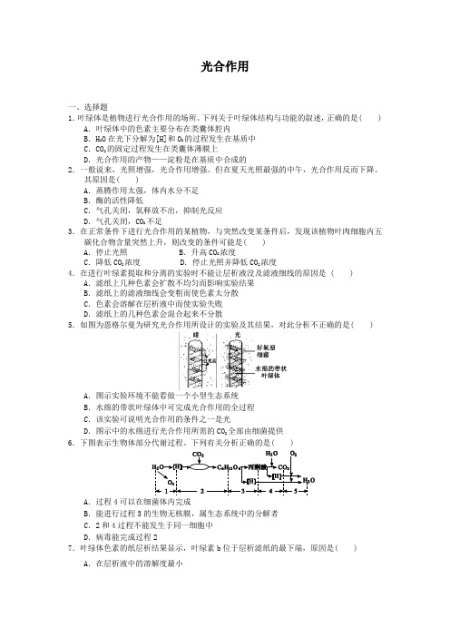 3.5光合作用每课一练3(浙科版必修1)