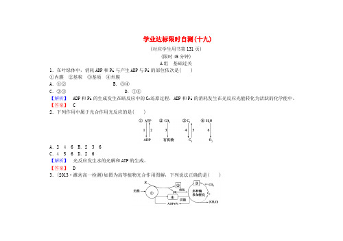 高中生物学业达标限时自测(十九)新人教版必修1