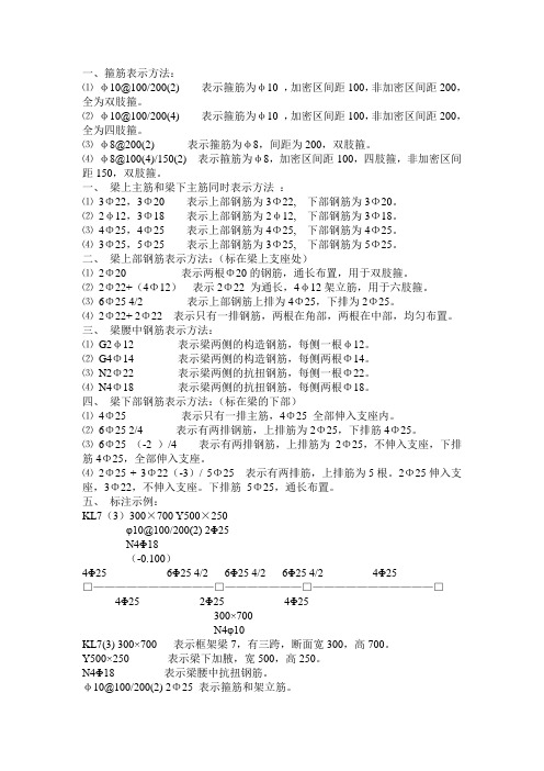 筋表示方法