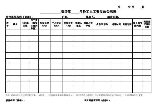 工人工资发放公示表