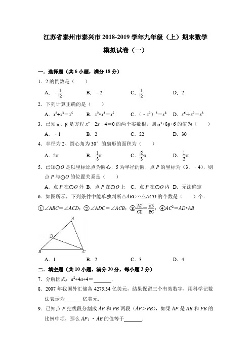 江苏省泰州市泰兴市2018-2019学年九年级(上)期末数学模拟试卷(一)(含答案)