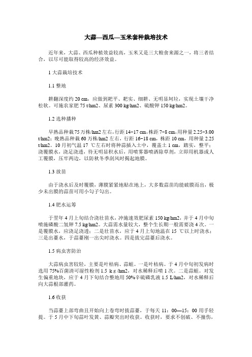 大蒜—西瓜—玉米套种栽培技术