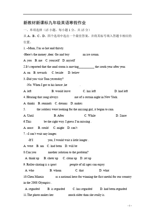 新教材新课标九年级英语寒假作业 (16)