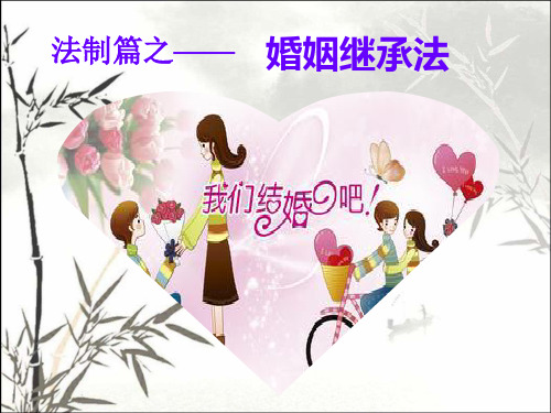 婚姻继承法 PPT