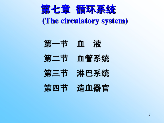 鱼类学：第七章 循环系统