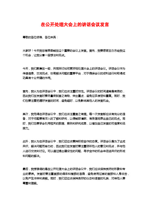 在公开处理大会上的讲话会议发言