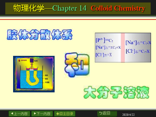 第13章胶体与大分子溶液