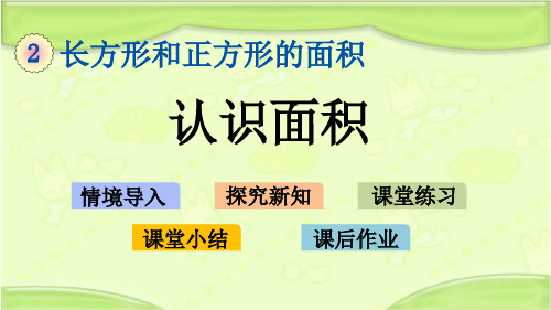 新西师大版三年级数学下册 2.1 认识面积 教学课件