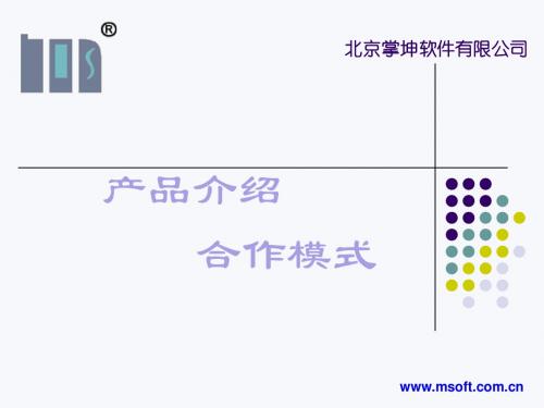 北京掌坤软件有限公司