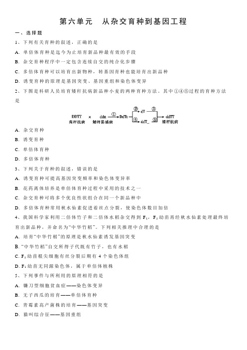 人教版高一生物必修2单元复习训练：第六单元 从杂交育种到基因工程