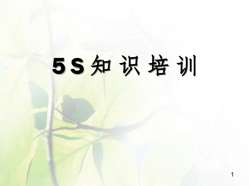 5S活动的起源与发展(ppt 39页)