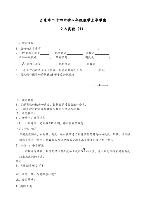 北师大版八年级数学 上册导学案:2.6-1实数(无答案)