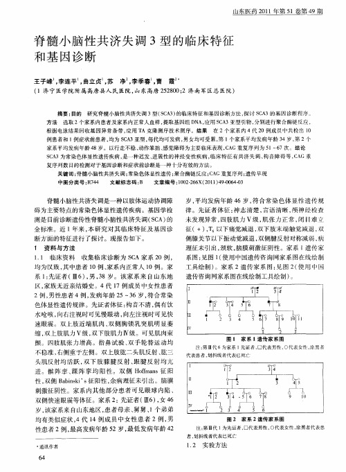 脊髓小脑性共济失调3型的临床特征和基因诊断