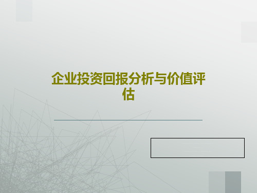 企业投资回报分析与价值评估共39页