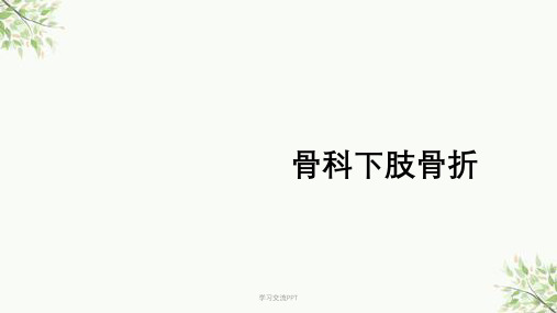 骨科下肢骨折医学课件