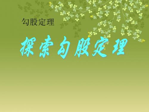 《探索勾股定理》勾股定理PPT课件5