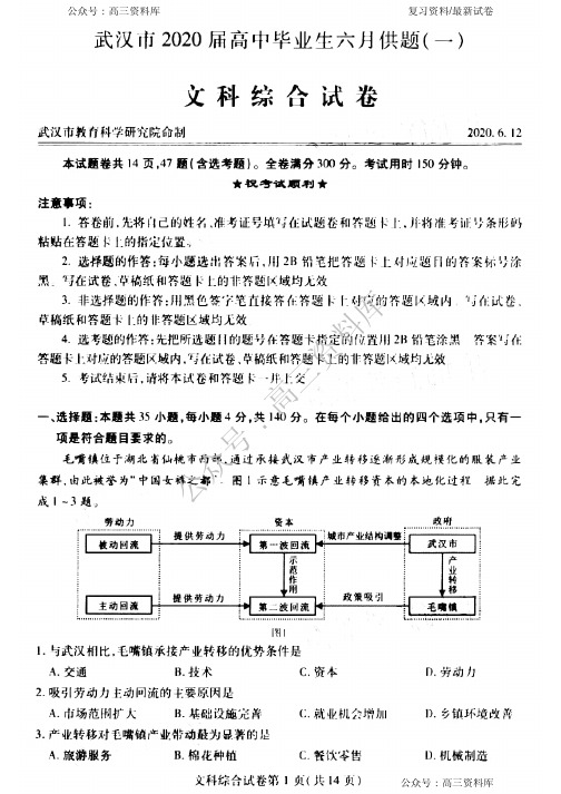 湖北省武汉市2020届高三毕业生六月供题(一)文科综合试题