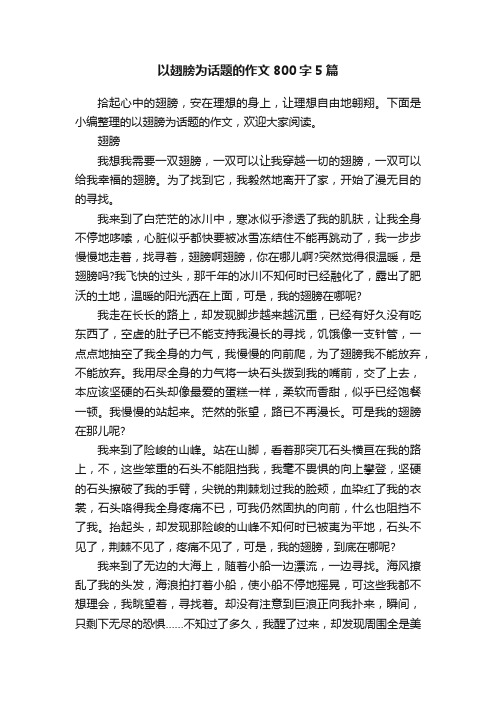 以翅膀为话题的作文800字5篇