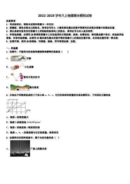 2022-2023学年北京朝阳区物理八年级第一学期期末教学质量检测试题含解析