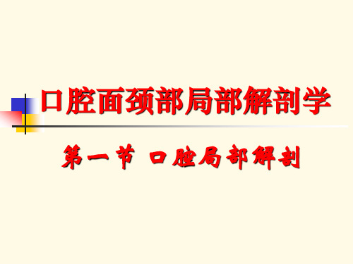 口腔局部解剖