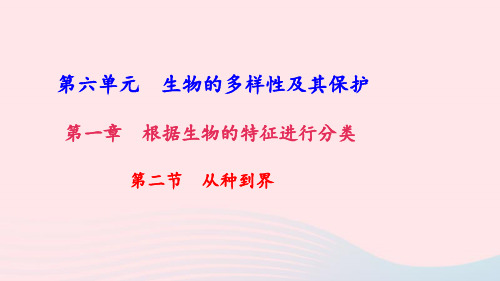 八年级生物上册第六单元第一章第二节从种到界习题课件