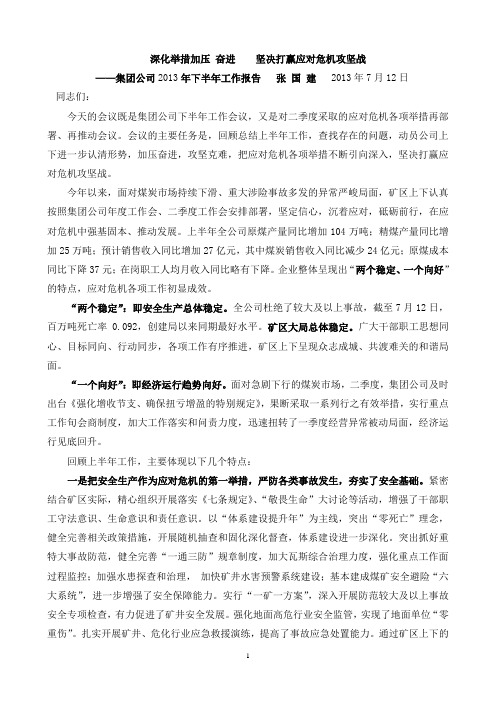集团公司2013年下半年工作报告张 国 建