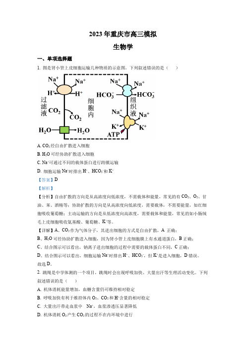 2023届重庆市普通高等学校招生统一考试样卷生物试题(解析版)