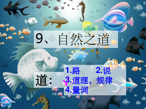 四年级语文下册第九课32443ppt课件