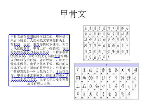 甲骨文