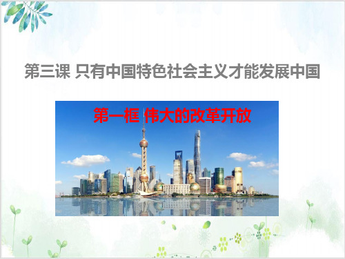 伟大的改革开放【新】高中政治统编版必修一PPT课件