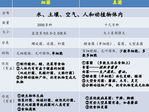 华师大版七年级上科学第二章生物的分类(一)