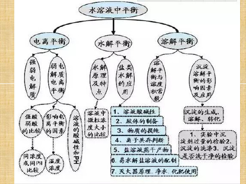 高中化学二轮复习水溶液中的离子平衡