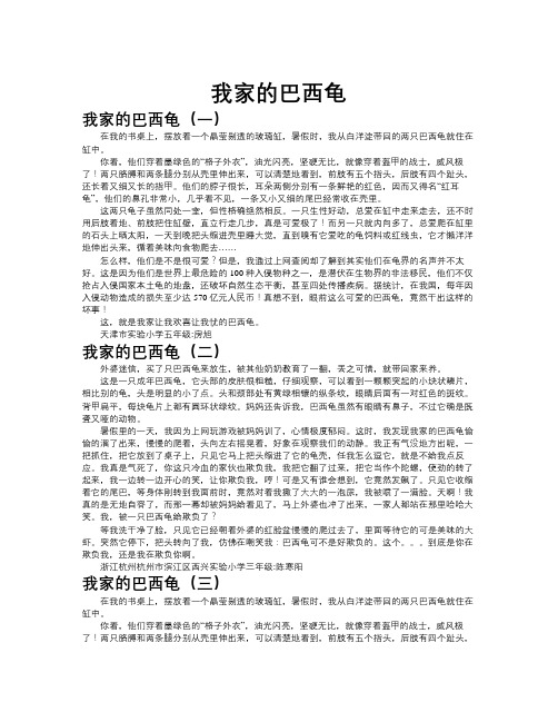 我家的巴西龟作文共九篇