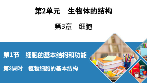 北师大生物七年级上册植物细胞的基本结构