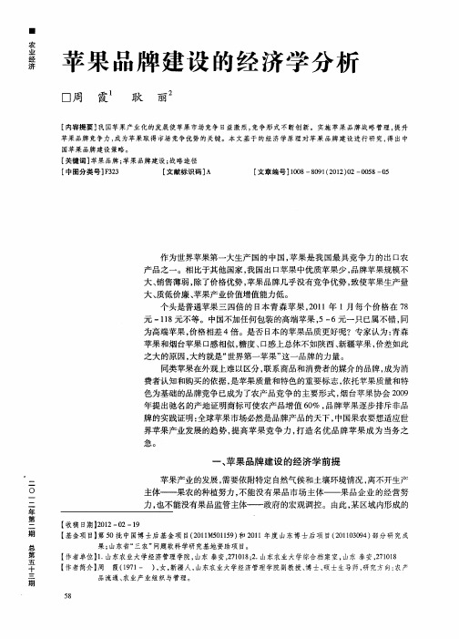 苹果品牌建设的经济学分析