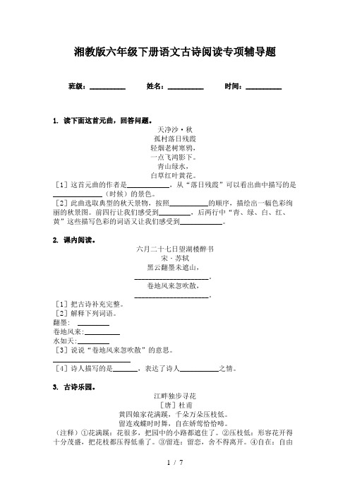 湘教版六年级下册语文古诗阅读专项辅导题